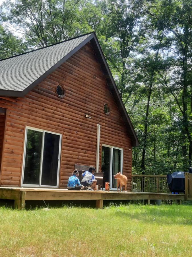 Remote Cabin Wv Retreat-Escape From The Norm Villa Mathias Exterior photo