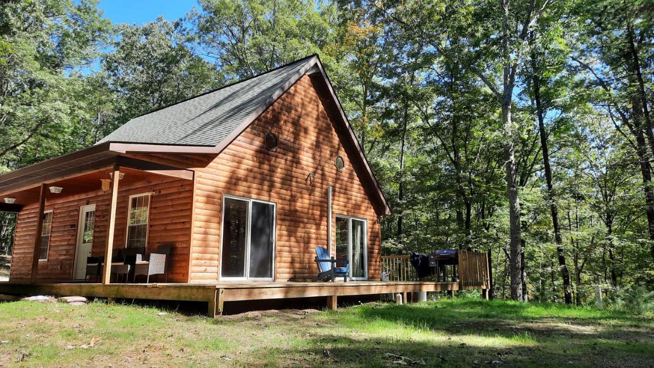 Remote Cabin Wv Retreat-Escape From The Norm Villa Mathias Exterior photo